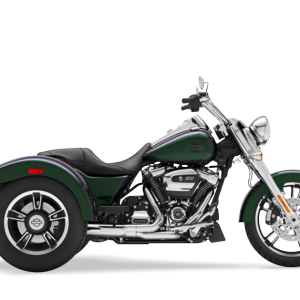 2021 Freewheeler