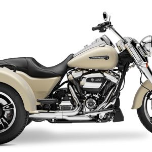 2019 Freewheeler